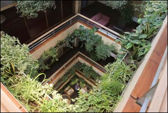 the view looking into the atrium of the completed building reveals timber levels complimented with extensive planting 