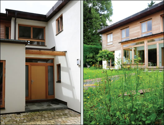(below left) the north view of the house, the exposed glulam beam above the front door acknowledging the building’s timber anatomy; (below right) wild flowers in the garden reinforce the sense of leafy suburban setting