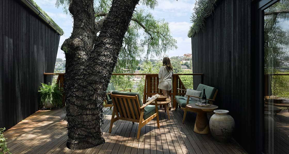 Big picture - Pepper Tree Passive House